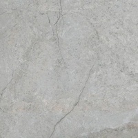 Керамогранит Vitra ARCTICSTONE Серый 60х60см