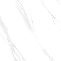 Керамогранит Eurotile Ceramica INSOMNIA 60х60см