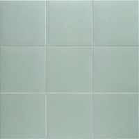 Керамогранит Mainzu TECHNICAL SOFT Aloe 20х20см