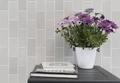Плинтус Adex HABITAT Rodapie Pewter Glossy 10х26см