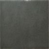 Керамическая плитка Adex NATURE Liso Charcoal 10х10см