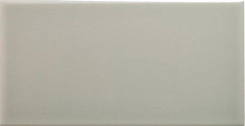 Керамическая плитка Adex NERI Liso PB Silver Mist 10х20см