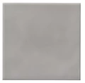 Керамическая плитка Adex LEVANTE Liso Monzon  Glossy 10х10см