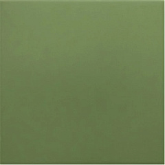 Керамогранит 30716 EQUIPE RIVOLI Green 20x20см