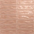Керамическая плитка  Absolut Keramika STICKS Coral Brillo 20х20см