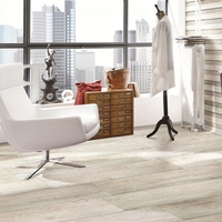 Керамогранит Cir & Serenissima ACANTO Rett Bianco 20х120см