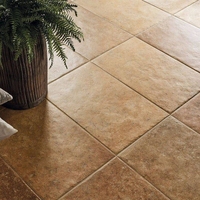 Керамогранит Cir & Serenissima COTTO DEL CAMPIANO Giallo Umbria 20х40см