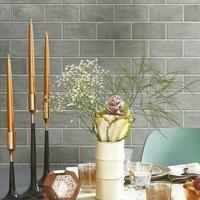 Керамическая плитка Cir & Serenissima MATERIA PRIMA Metropolitan Grey 10х20см