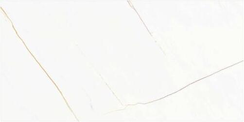 Керамогранит Idalgo SIENA White MR 60х120см
