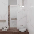 Керамогранит Arcadia FEATHER ONYX 60x120см