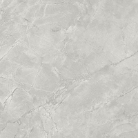 Керамогранит Atlas Concorde MARVEL X Grey Cloud Lappato 9 мм 120х120см
