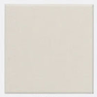 Керамический гранит матовый белый Topcer L4416-1Ch White - Loose 10х10см