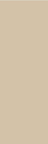 Керамическая плитка APE COLORFUL CHAMPAGNE RECT 30х90см
