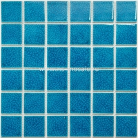 Керамическая мозаика NSMosaic Porcelain PW4848-25  сетка 30,6x30,6см