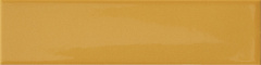 4101040 Керамическая плитка глянцевая 41zero42 KAPPA Mustard 5x20см