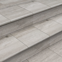 Ступень фронтальная Exagres PELDANO FOREST ARGENT 33х33см
