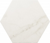 23101 Керамогранит EQUIPE CARRARA Hexagon Matt 17,5x20см