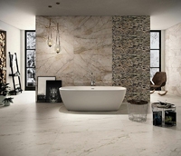 Керамогранит Imola THE ROOM SAN PE6 60 LP 60x60см (толщина 6,5мм)