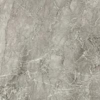 Керамогранит Imola THE ROOM BreDu6120Lp  120x120см (толщина 6,5мм)